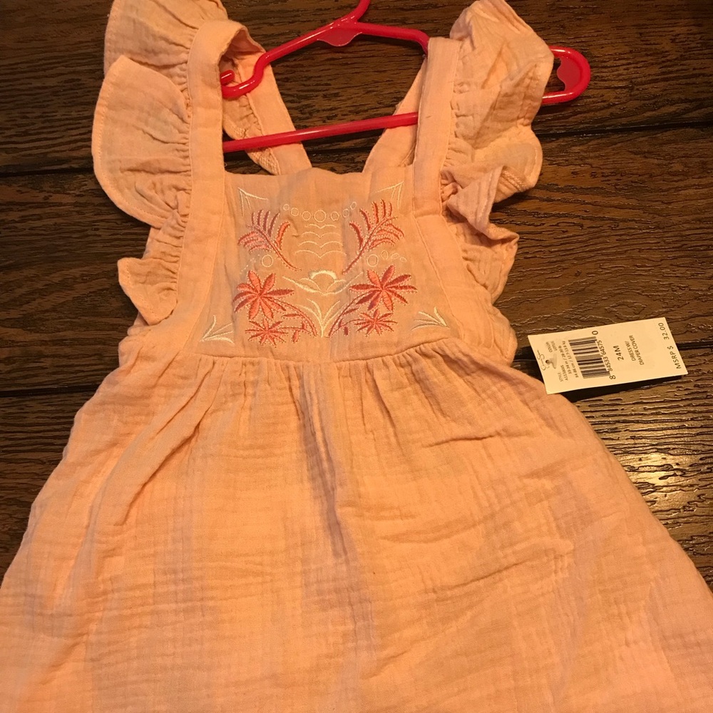 JESSICA SIMPSON  24m Pink Toddler Girl Dress